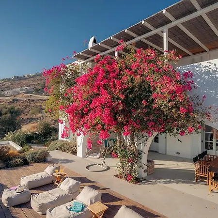 Tatil Evi Bougainvilla Mykonos Agios Ioannis Diakoftis